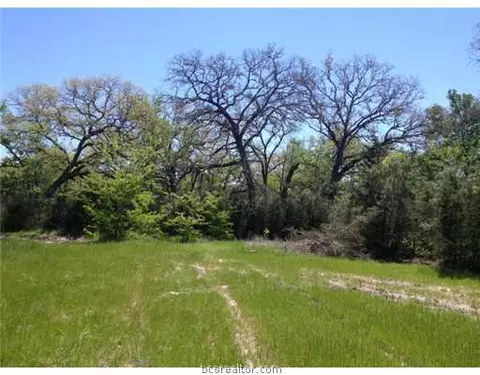 11600 Long Trussel Rd, Bryan, TX 77808 photo 6