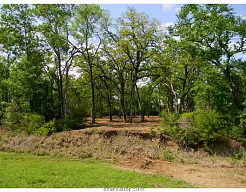 3205 Willow Ridge Dr, Bryan, TX 77807 photo 2
