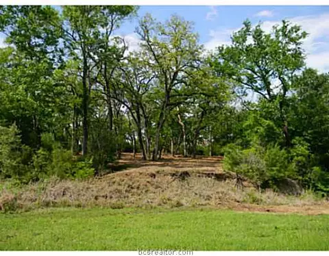 3205 Willow Ridge Dr, Bryan, TX 77807 photo 1