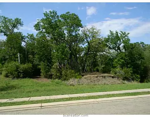 3205 Willow Ridge Dr, Bryan, TX 77807 photo 3