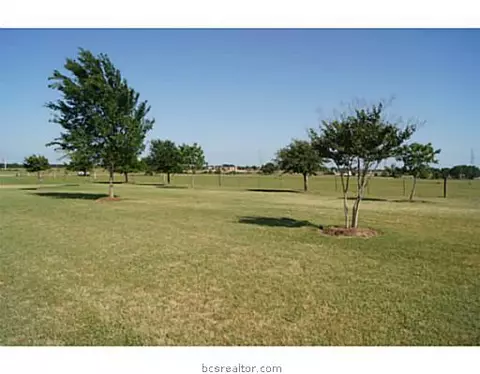 3548 Open Range Ct, Bryan, TX 77808 photo 21