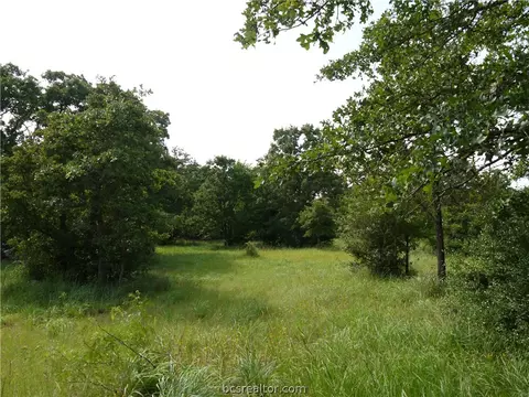 8899 Green Branch Loop, Bryan, TX 77808 photo 6
