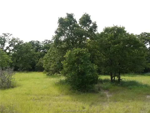 8899 Green Branch Loop, Bryan, TX 77808 photo 3