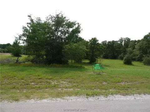 8899 Green Branch Loop, Bryan, TX 77808 photo 8