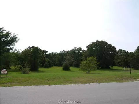 8899 Green Branch Loop, Bryan, TX 77808 photo 9