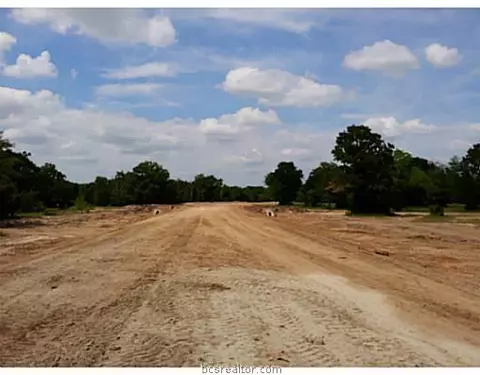 8811 Green Branch Loop, Bryan, TX 77808 photo 5