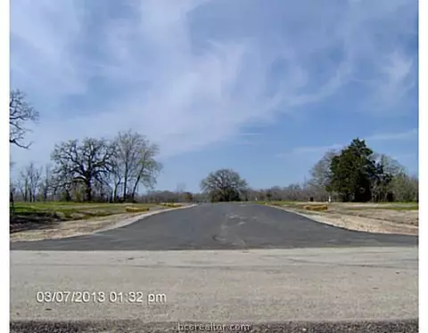 8811 Green Branch Loop, Bryan, TX 77808 photo 1