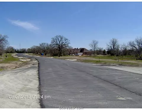 8811 Green Branch Loop, Bryan, TX 77808 photo 4