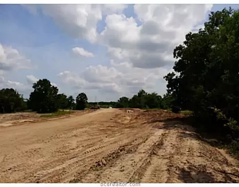 8806 Green Branch Loop, Bryan, TX 77808 photo 6