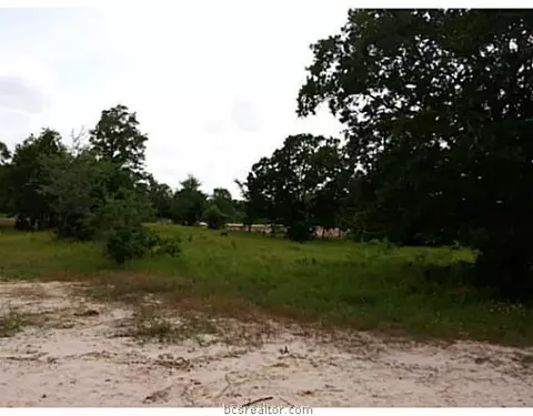 8806 Green Branch Loop, Bryan, TX 77808 photo 8