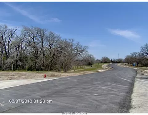 8806 Green Branch Loop, Bryan, TX 77808 photo 3