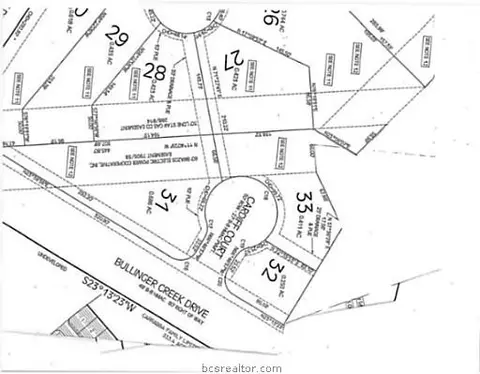 2901 Cardiff Ct, Bryan, TX 77808 photo 3