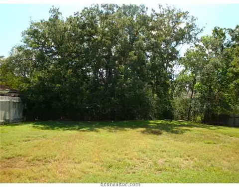 4101 Warwick Ln, Bryan, TX 77802 photo 9
