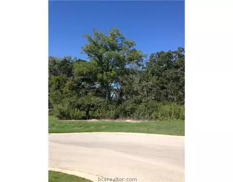 3217 Pinyon Creek Dr, Bryan, TX 77807 photo 1