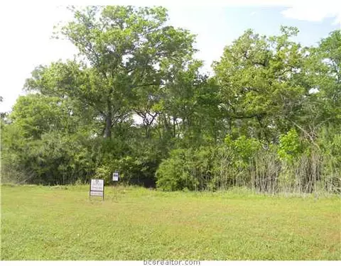 3217 Pinyon Creek Dr, Bryan, TX 77807 photo 2
