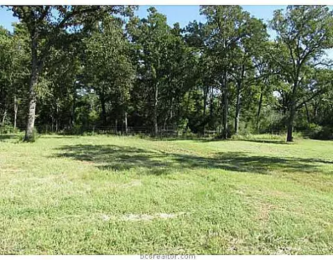 8974 Mccarver Ln, Bryan, TX 77808 photo 10