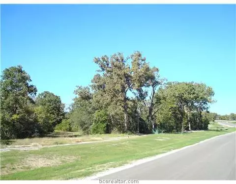 6977 Mccrae Ln, Bryan, TX 77808 photo 2