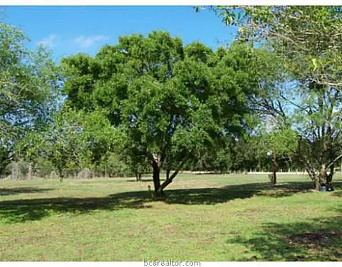 8272 Grassbur Rd, Bryan, TX 77808 photo 11