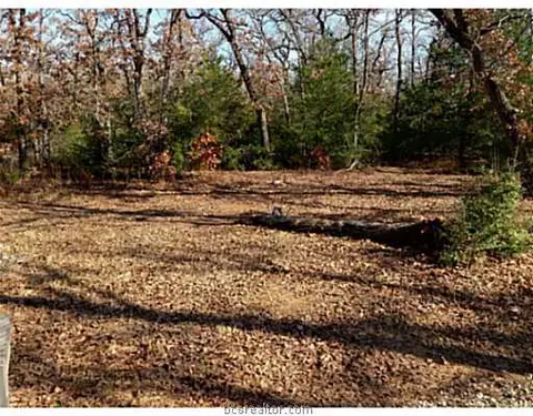 900 Deer Hill Dr, Bryan, TX 77807 photo 13