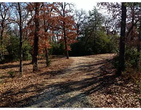 900 Deer Hill Dr, Bryan, TX 77807 photo 12
