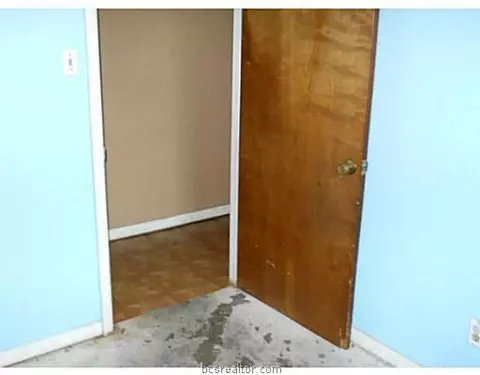 2521 Bexar Grass, Bryan, TX 77802 photo 6