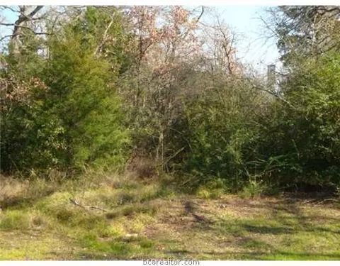 2839 Oakside, Bryan, TX 77802 photo 15