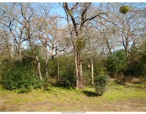 2839 Oakside, Bryan, TX 77802 photo 14
