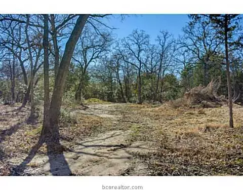 270 Rustic Oaks Dr, Bryan, TX 77808 photo 9
