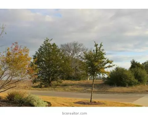 3326 N Emory Oak Dr N, Bryan, TX 77807 photo 9