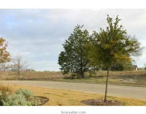 3326 N Emory Oak Dr N, Bryan, TX 77807 photo 8