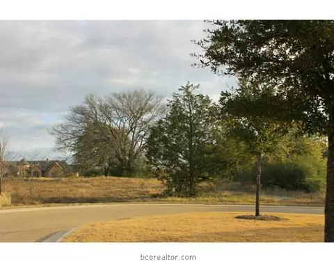 3326 N Emory Oak Dr N, Bryan, TX 77807 photo 5