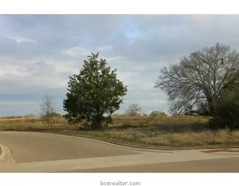3326 N Emory Oak Dr N, Bryan, TX 77807 photo 3
