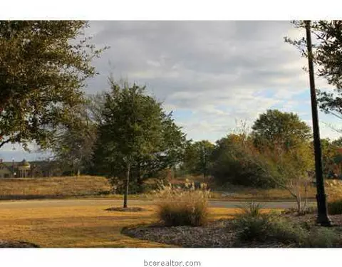 3326 N Emory Oak Dr N, Bryan, TX 77807 photo 10