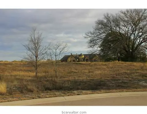 3326 N Emory Oak Dr N, Bryan, TX 77807 photo 6