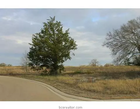 3326 N Emory Oak Dr N, Bryan, TX 77807 photo 2