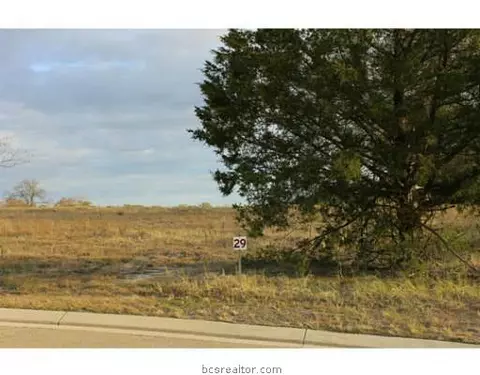 3326 N Emory Oak Dr N, Bryan, TX 77807 photo 11