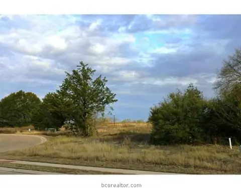 3326 N Emory Oak Dr N, Bryan, TX 77807 photo 1