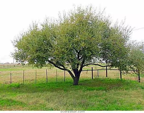4816 Fm 974, Bryan, TX 77808 photo 10