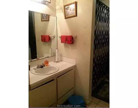 2216 Young Pl, Bryan, TX 77807 photo 18