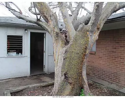 903 Stanfield, Bryan, TX 77802 photo 20