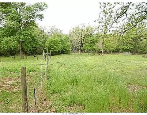 3949 Grapevine Dr, Bryan, TX 77807 photo 5
