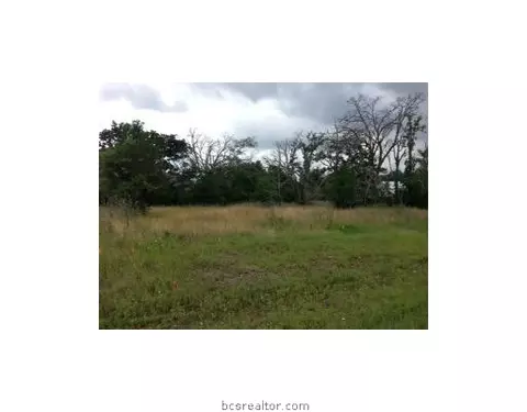 4699 River Rock Dr, Bryan, TX 77808 photo 2