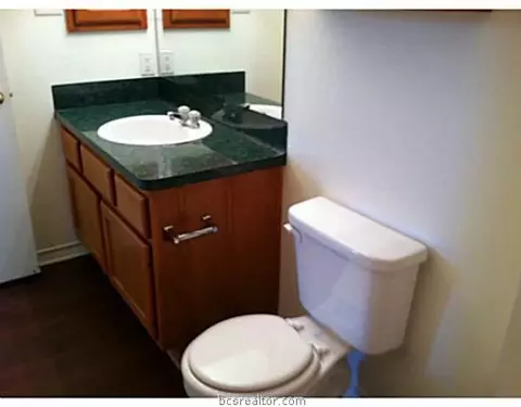 1113 Clearleaf Dr, Bryan, TX 77803 photo 8