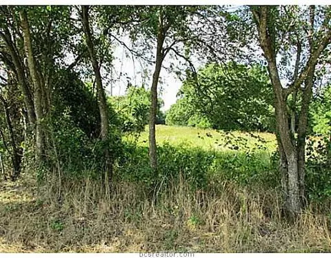 3730 Sandy Point Rd, Bryan, TX 77807 photo 17