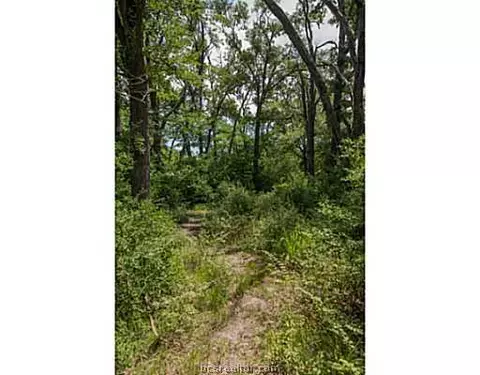 9166 Green Branch Loop, Bryan, TX 77808 photo 25