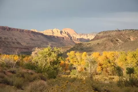 Kolob Gate Gardens, Virgin, UT 84779 photo 7