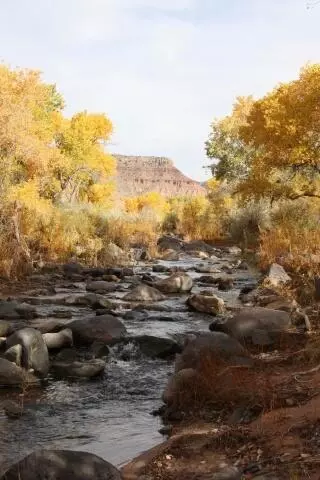 Kolob Gate Gardens, Virgin, UT 84779 photo 11
