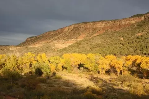 Kolob Gate Gardens, Virgin, UT 84779