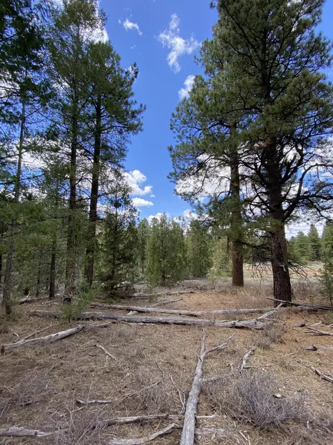 10 Elk Meadows Dr, Duck Creek, UT 84762