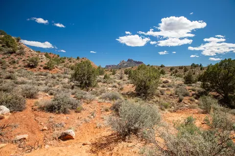 11 N Fork Dr, Springdale, UT 84767 photo 17